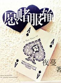 愿赌服输小说樊景全文免费阅读封面