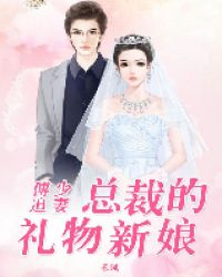傅少追妻：总裁的礼物新娘小说封面